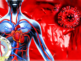 دستورالعمل مداخلات جراحی عروق در دوره پاندومی کووید ۱۹